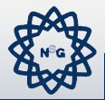 NSG logo