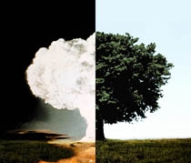 International Conference on Nuclear Disarmament